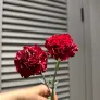 Гвоздика красная, 2 шт