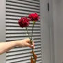 Гвоздика красная, 2 шт