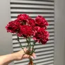 Гвоздика красная, 6 шт