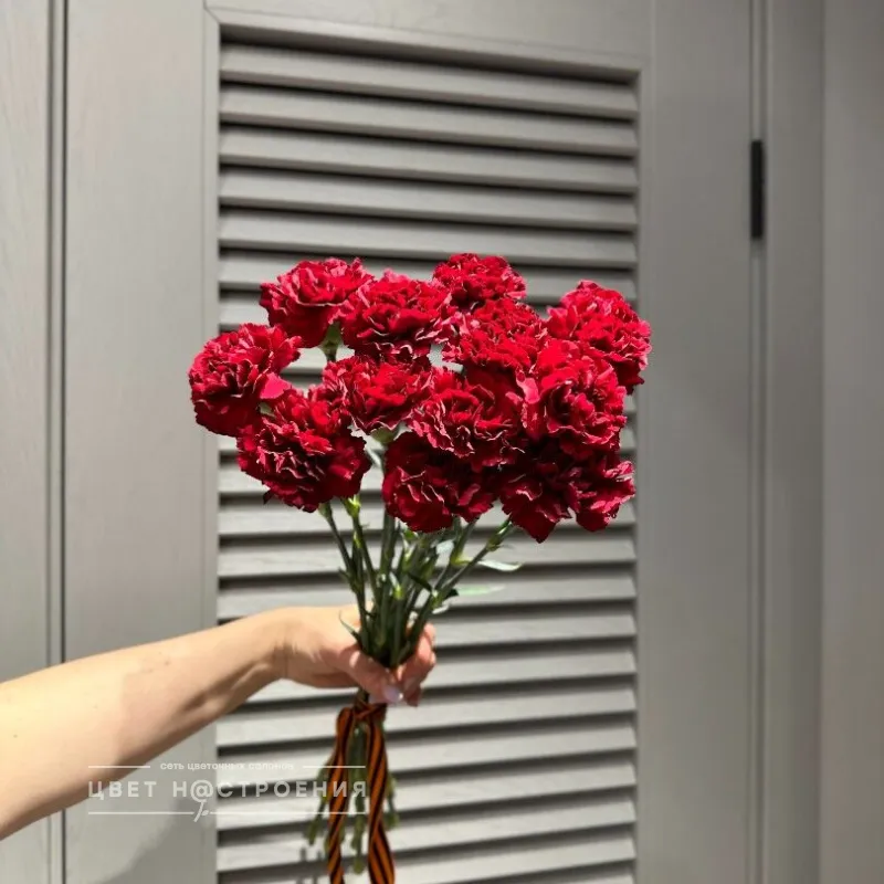Гвоздика красная, 12 шт