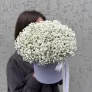 Пломбир