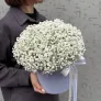 Пломбир