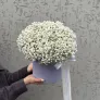 Пломбир