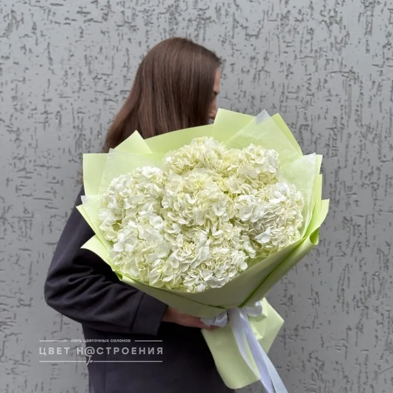 Букет из 7 гортензий «Нежное облако»