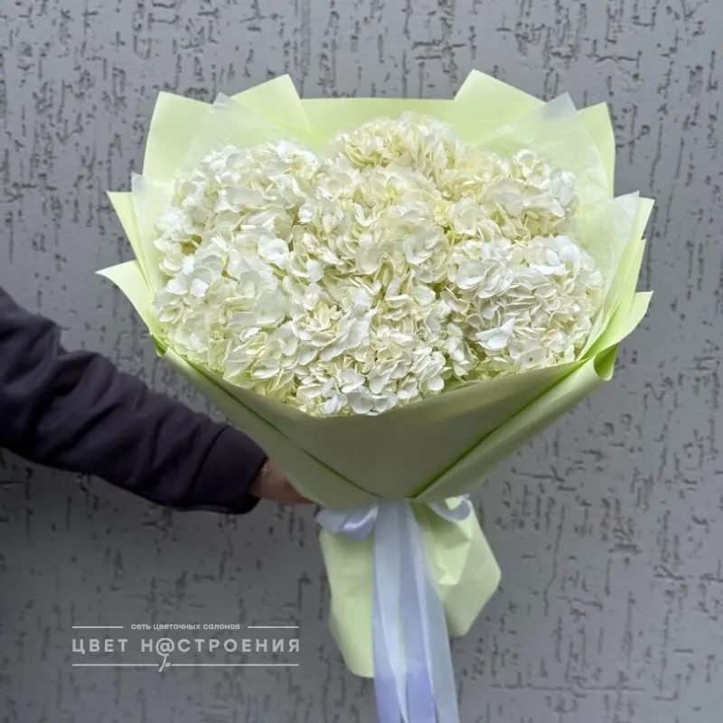 Букет из 7 гортензий «Нежное облако»