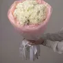 Белые диантусы «Нежное облако»