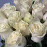 Белые розы Эквадор 60см