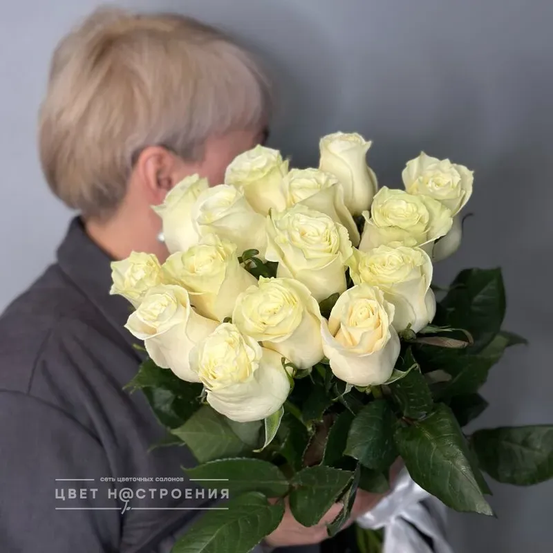 Белые розы Эквадор 60см
