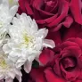 Букет из французских роз и хризантем