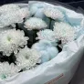 Букет №3 из голубых хризантем с хлопком