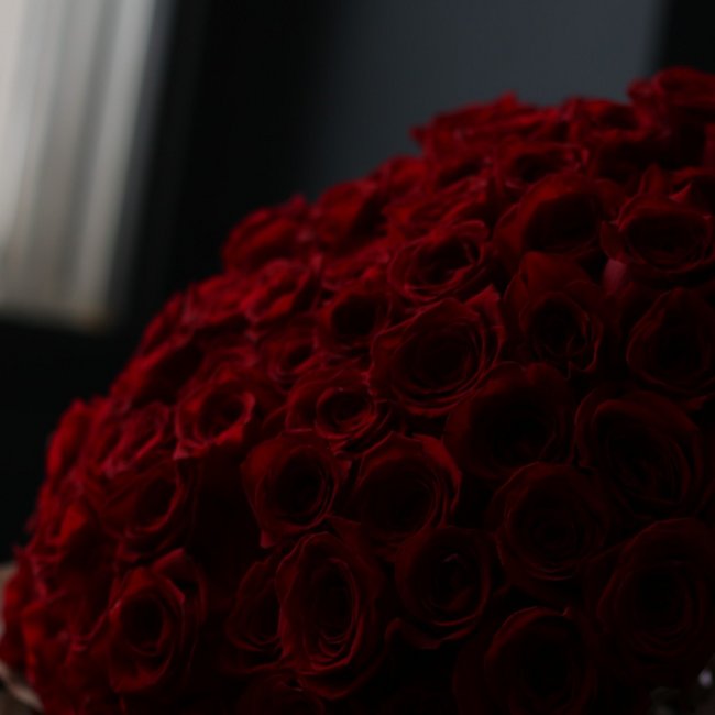 101 красная роза в упаковке - салон «Цвет настроения» в Уфе