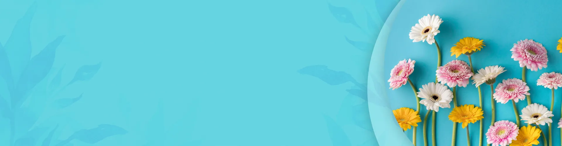 Нашли дешевле? <br>Сделаем скидку!