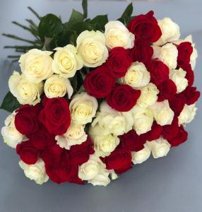51 красно-белая роза