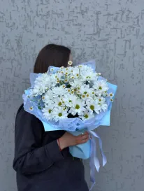 Альпийский луг