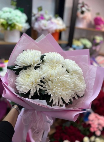 Хризантемы одноголовые &laquo;Нежный рассвет&raquo; от интернет-магазина цветов в 