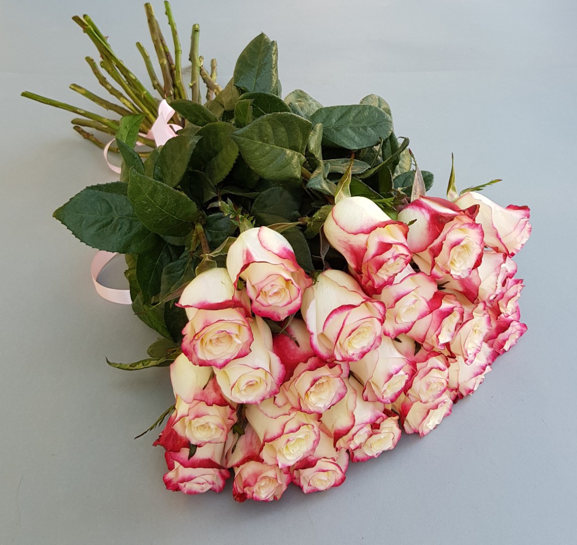 Голландские розы букет. Розо сви т нес. Букет эквадорских роз.