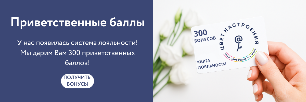 Приветственные баллы
